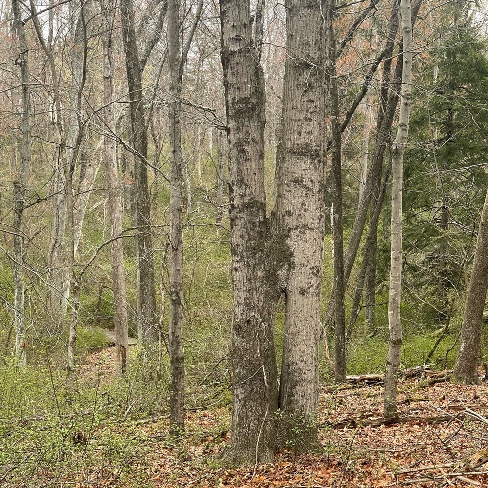 Meet your Posher, Aja